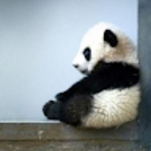 Meet your Posher, Mika